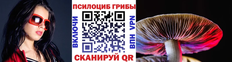 сколько стоит  Гаврилов Посад  Псилоцибиновые грибы ЛСД 
